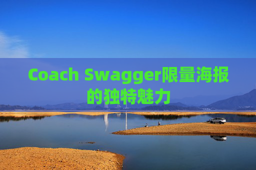Coach Swagger限量海报的独特魅力